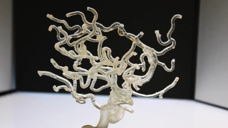 3D printing arteries